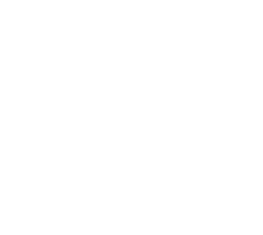 Sapphire-Hospice-logo-white